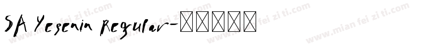 SA Yesenin Regular字体转换